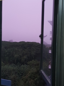 Surprisingly violet dusk - South Korea