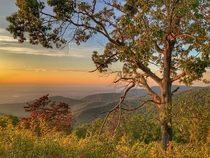 Surreal Sunset on the Blue Ridge Mountains Virginia USA  IgJuliend
