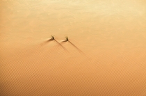 Survive - Rub al Khali The Empty Quarter in Oman the largest sand desert in the world  photo by Hamed Musharbak