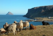 Suuroy Faroe Islands 