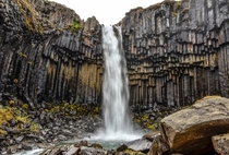 Svartifoss Black Fall waterfall Skaftafell National Park Iceland photographed by Adriana Yampey 