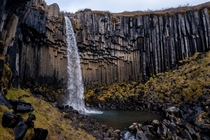 Svartifoss black rock waterfall in Iceland 