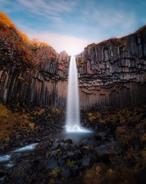 Svartifoss Iceland in fall colors 