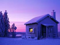 Swedish Winter 