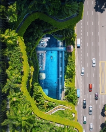 Swimming in Singapore