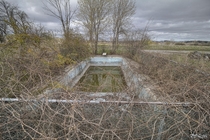 Swimming Pool Found Out Back of an Abandoned Ontario Farm House 