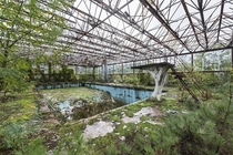 Swimming Pool in Italy reclaimed by nature Italy Photo by Jonk 