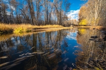 Swirls of Autumn in Lolo Creek Montana 