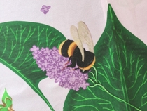 Syringa Vulgaris Thanks to encouragement from Redditors I found the courage to have my botanical designs printed on pure silk