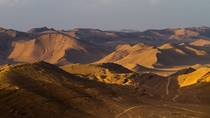 Syro-Arabian desert bdiyat ash-shm 