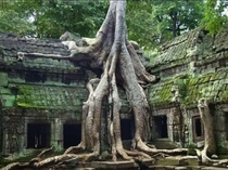 Ta Prohm Temple near Angkor Cambodia Built in the late th century