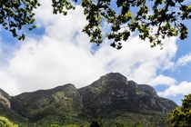 Table Mountain from Kirstenbosch National Botanical Garden in Cape Town South Africa 