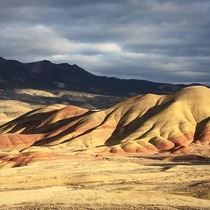 Taken a couple of days ago at Painted Hills Oregon 