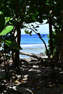 Tanguisson Beach Jungle View Guam USA 
