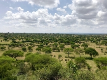 Tarangire national Park Tanzania 