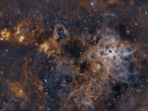 Tarantula Nebula 