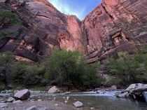 Temple of Sinawava Zion National Park 