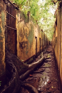 The abandoned French Penal Colony from  Known as Devils Island Photo by Tom Parrot