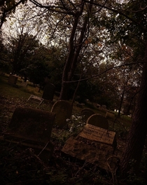 the abandoned mount moriah cemetery in yeadon pennsylvania some of the graves here date back to the late s