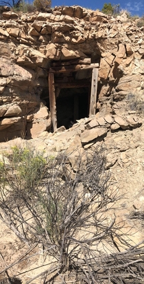 The adit of an abandoned Uranium mine in Southwestern Colorado