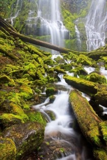 The amazing Proxy falls Oregon  
S Amer Photography 