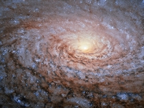 The arrangement of the spiral arms in the galaxy Messier  recall the pattern at the centre of a sunflower So the nickname for this cosmic object- the Sunflower Galaxy- is no coincidence ESAHubble amp NASA 