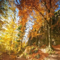 The autumns fury - Rudawski Landscape Park Lower Silesian Voivodeship Poland 
