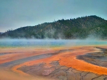 The bacteria living around the Grand Prismatic Spring produce strikingly vivid colours Yellowstone National Park