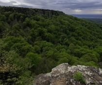 The beautiful greenery of Arkansas from Mt Magazine State Park