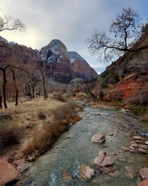 The beautiful Virgin River in the valley of Zion National Park UT USA 