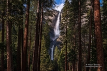 The beautiful Yosemite Falls of Yosemite NP California  photo by Darvin Atkeson