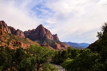 The Beauty of Zion National Park and Our Planet 