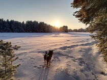 The better part of winter in Finland has begun