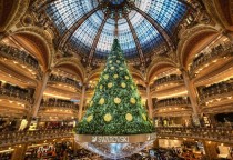 The biggest Christmas tree Ive seen - inside a building in Paris 