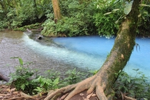 The birthplace of the unbelievable waters of the Rio Celeste Costa Rica 