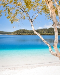 The blue waters of Lake Mckenzie on Kgari Fraser Island Queensland Australia x OC