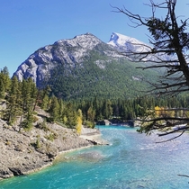 The Bow River Banff Canada  x