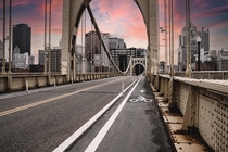 The Bridges Pittsburgh