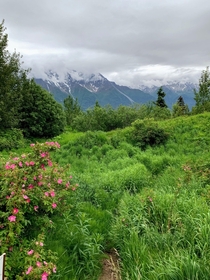 The Butte Anchorage Alaska 