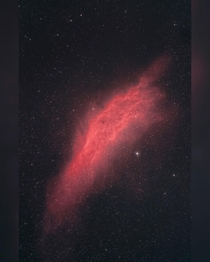 The California Nebula during the peak of the  Geminids Metor Shower