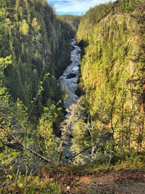 The canyon of Maddus National Park in northern Sweden 