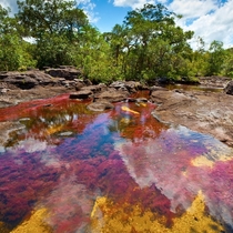 The Cao Cristales river in La Macarena Colombia is dubbed the River of Five Colors and Liquid Rainbow because of the many colors you can see below the clear waters La Macarena Meta Colombia 