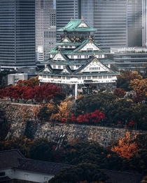 The castle in Osaka Japan