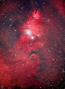 The Christmas tree nebula in RGB