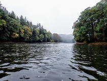 The Clarion River in Allegheny National Forest on a foggy rainy October day - Pennsylvania Wilds 