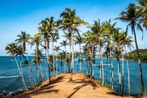 The classic view of The Coconut Tree Hill Mirissa Sri Lanka 