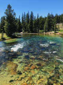 The clearest water Ive ever seen Taken on a hike to Soda Springs Yosemite National Park CA 
