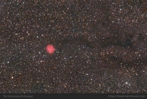 The Cocoon nebula  IC 