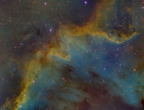 The Cygnus Wall from Northern California 