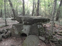 The dolmen located in the mountain forest of the North Caucasus